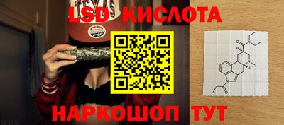 винт Кингисепп