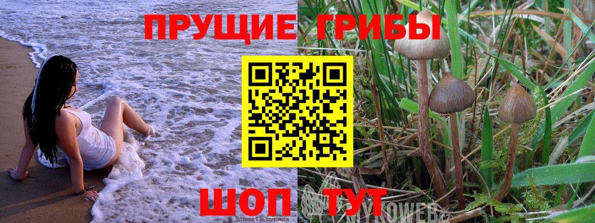 Галлюциногенные грибы мухоморы  Вход с VPN  Дятьково  Псилоцибиновые грибы прущие грибы 