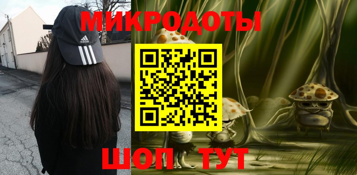 Галлюциногенные грибы Psilocybine cubensis Дятьково
